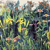 Lilies and Cones-SOLD

