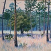 Wekiva Pines-SOLD