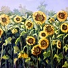 Sunflower Field
