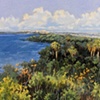View From Turtle Mound-SOLD
Collection of Canaveral National Seashore
