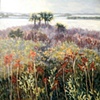 Canaveral National Seashore