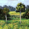 From the Window- SOLD