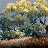 Art Consultants
Retail Art Dealers
Interior Designers