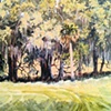 Oaks and Palm-SOLD
Fair Oaks Residency