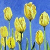 Yellow Tulips- SOLD
