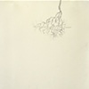 Out of Line - detail
