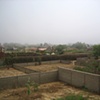 morning fog
