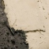 Machete detail