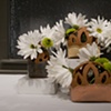 Flower/Herb Boxes