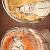 3 White Cicada