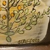 Orgainc Cup