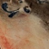 Katrina detail