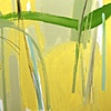 magnolia 6