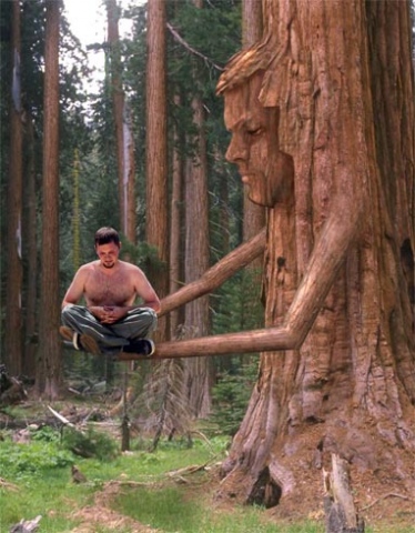 me tree