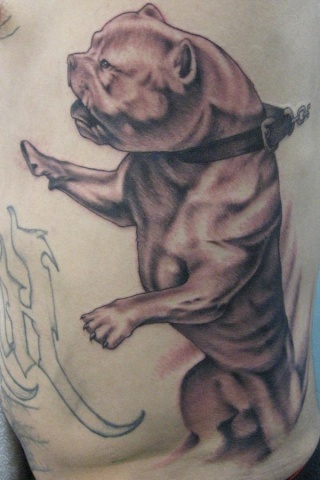 Pitbull