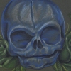 Fetal Skull