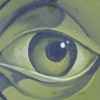 eye