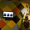 This was a show done for the Suggs Gallery at SAIC. Includes mask made by Joey Jacks, Sam Nigrosh, Mark Brown, Kiki Freeman, Easton Miller, Zach, Will Leffler. Animation by Aurelie Beatley. 2007
