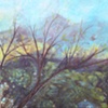 OUT ON A LIMB