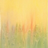 lemongrass x 2