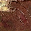 Surface Area