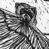 Let the Eagle Soar