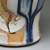 Cup 2 (view 1)