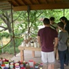 melanie's cups