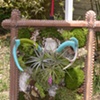 monique's living sculpture: 2010 show