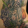 tigerflowers