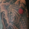 koi
