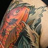 japanese koi with anchor