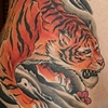 japanese ribtiger