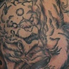 fu dog
