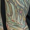 Biomech arm