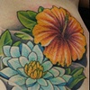 lowerbackflowers