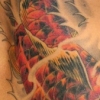 just the koi