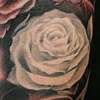 Rose Tattoo
