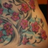 cherry tree coverup
