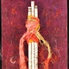Ties that Bind ($25)