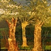Three Trees ($60)