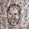 Earthquake ($60)