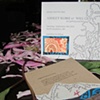 suite sample 18