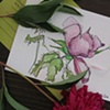 suite sample 14