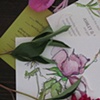 suite sample 15