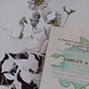 suite sample 16
