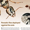 Illustrations for UGA's magazine Research Reporter (Spring 2009 edition)
