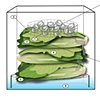 Science Experiment- 
