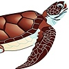 Hawksbill Turtle- clip art
