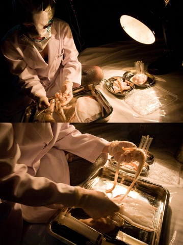 Transformations of the flesh